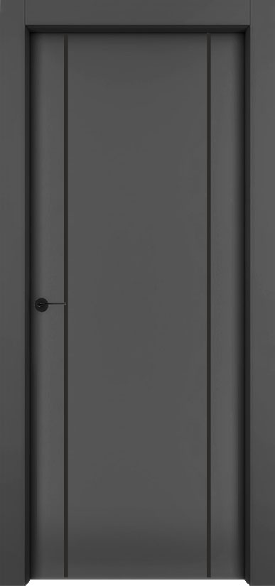 Двери в интерьере - Дверь 1001-М2 эмаль RAL 9005, молдинг черный, глухая