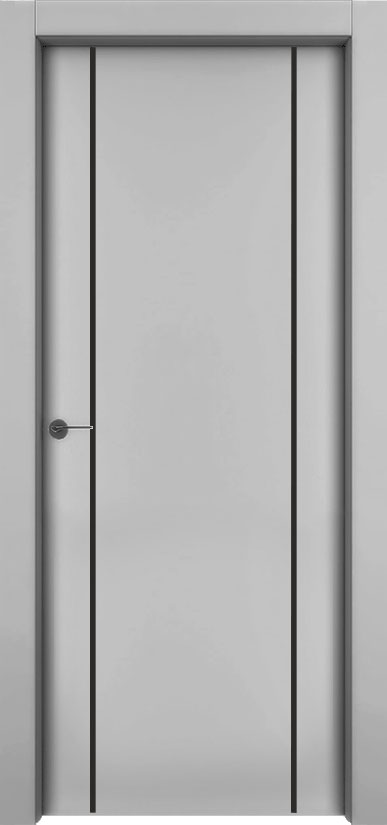 Двери в интерьере - Дверь 1001-М2 эмаль серая, молдинг черный, глухая