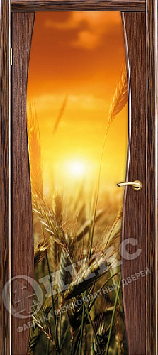 Дверь Оникс Грация эбен, фотопечать