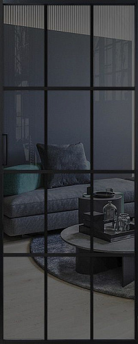 Перегородка Alum №10 черный, стекло прозрачное графит