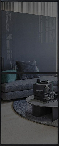 Перегородка Alum №1 черный, стекло прозрачное графит