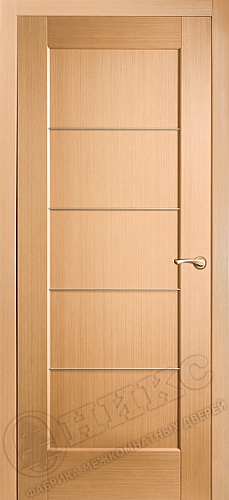 Дверь Оникс Техно анегри, глухая с молдингами