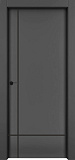 Дверь 1001-М3 эмаль RAL 9005, молдинг черный, глухая