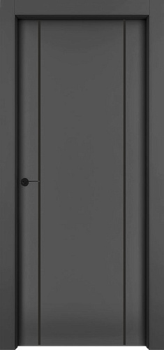 Дверь 1001-М2 эмаль RAL 9005, молдинг черный, глухая