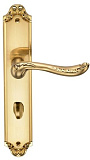 Межкомнатные ручки Archie GENESIS ACANTO S. GOLD OL фиксатор