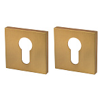 Рекомендация - Накладка на цилиндр Armadillo ET USS FSG-39 Флорентийское золото