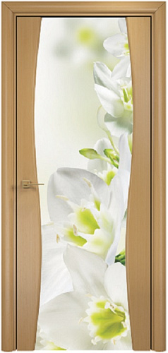 Дверь Оникс Грация анегри, фотопечать