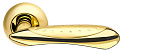 Недавно просмотренные - Межкомнатная ручка Armadillo Corvus LD35-1 Матовое золото/золото