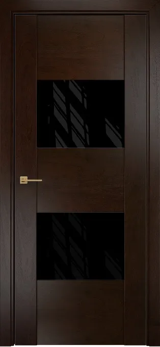 Двери в интерьере - Дверь Оникс Парма палисандр, глухая лакобель RAL 9005