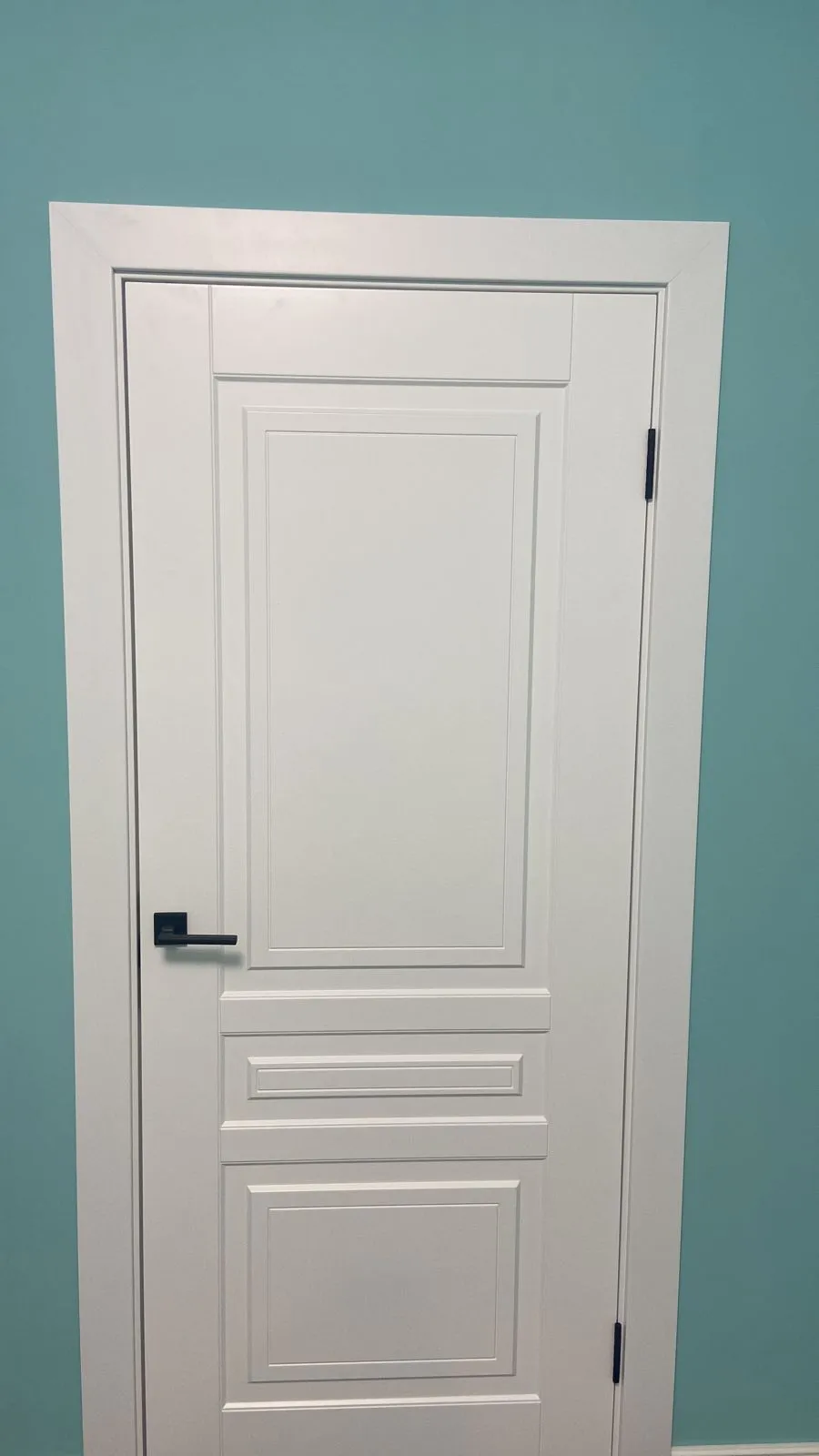 Дверь Версаль-Н эмаль белая, глухая 4