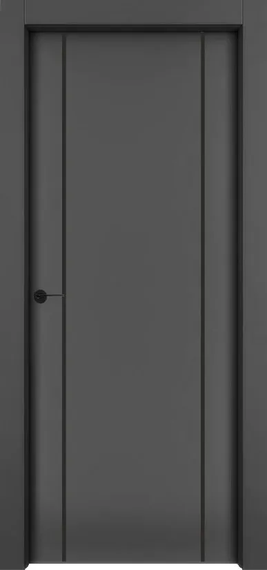 Двери в интерьере - Дверь 1001-М2 эмаль RAL 9005, молдинг черный, глухая