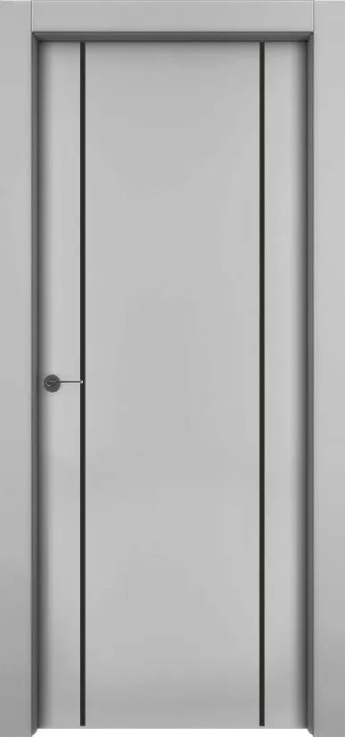 Двери в интерьере - Дверь 1001-М2 эмаль серая, молдинг черный, глухая