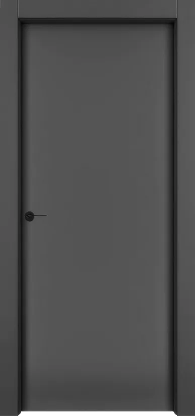 Двери в интерьере - Дверь 1001 эмаль RAL 9005, глухая