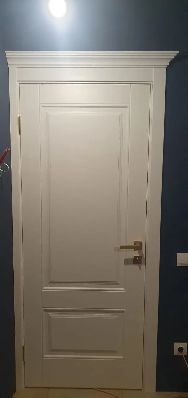 Дверь белая эмаль, глухая 1