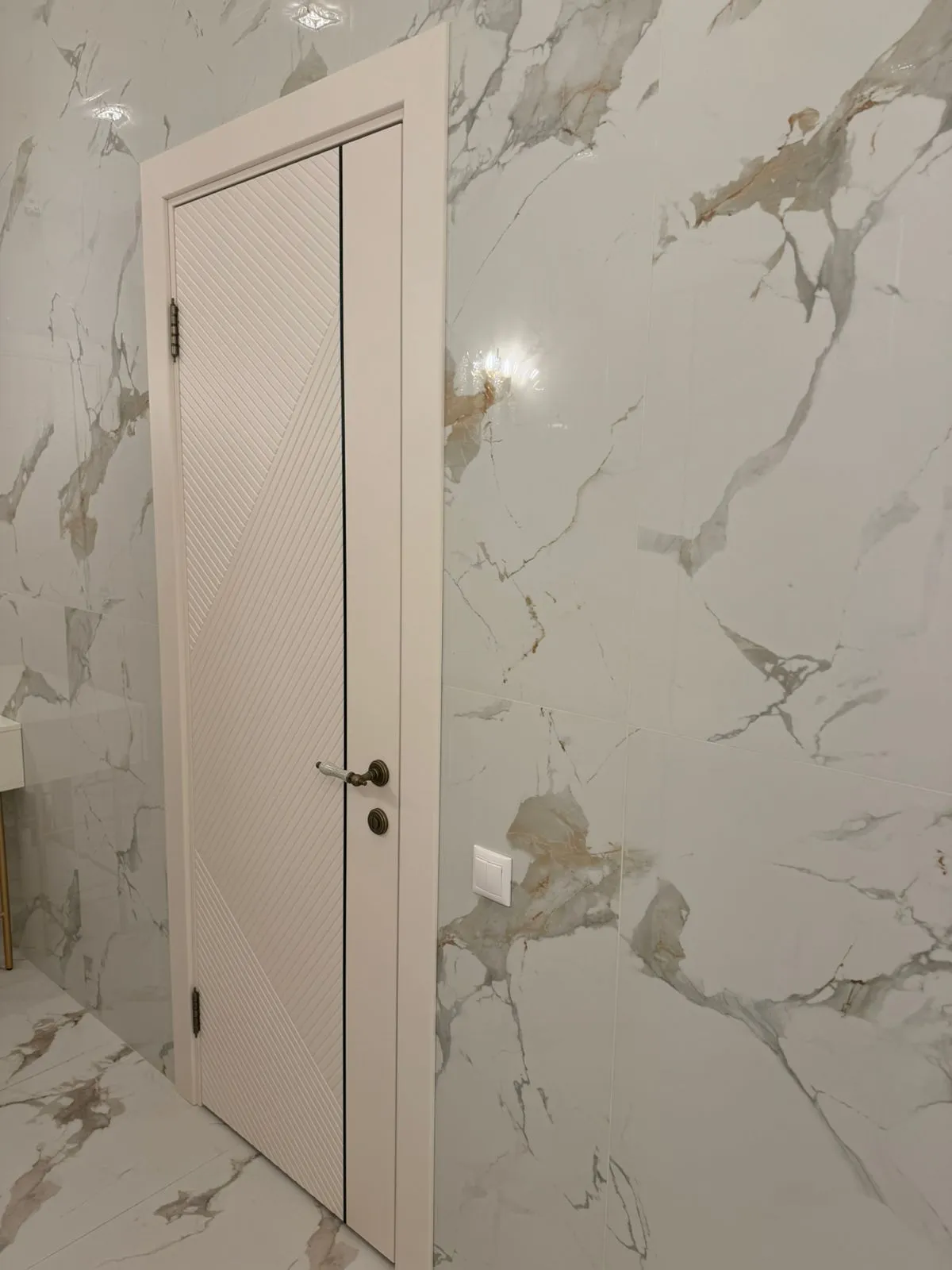 Дверь Оникс 4